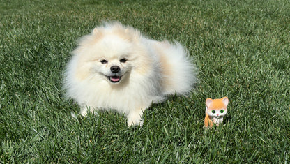 Cat Dog Toy (latex)